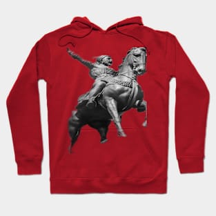 king's horse Hoodie